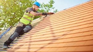 Best Roof Moss and Algae Removal  in Connersville, IN