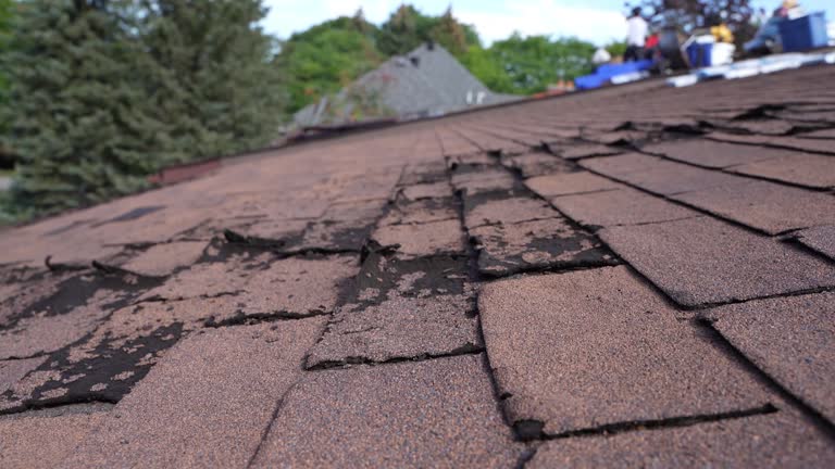 Best Green or Eco-Friendly Roofing Solutions  in Connersville, IN